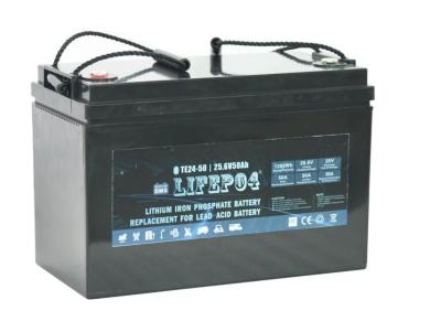 중국 보조 전력을 위한 BMS 24V 12AH 가지고 다닐 수 있는 Lifepo4 배터리 판매용