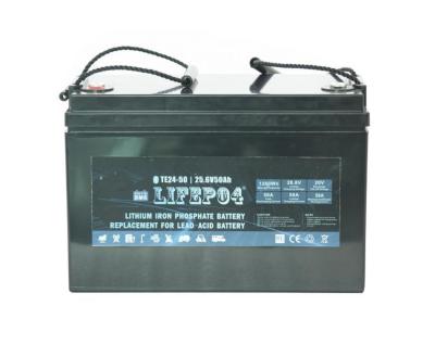 中国 24V 42AH鉛の酸の取り替えのための携帯用Lifepo4電池のリチウムBMS 販売のため