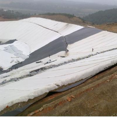Cina Geotessuto non tessuto agugliato in fibra corta di poliestere per il rinforzo della pavimentazione in vendita