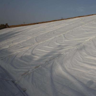 Cina Geotessuto non tessuto agugliato in fibra corta di poliestere per il rinforzo della pavimentazione in vendita