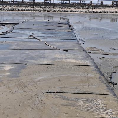 Cina Tubi di disidratazione geotessili personalizzati per l'essiccazione dei fanghi per impianti di trattamento delle acque reflue municipali in vendita