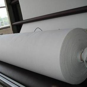 Cina Geotessuto non tessuto in poliestere agugliato da 200g 250g per drenaggio di muri di sostegno in vendita