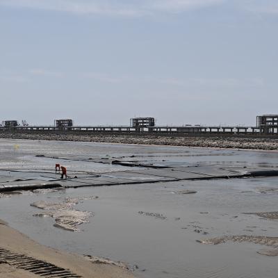 Cina Tubi di disidratazione in geotessile intrecciato resistente alle alte temperature per la disidratazione dei fanghi di olio di palma in vendita