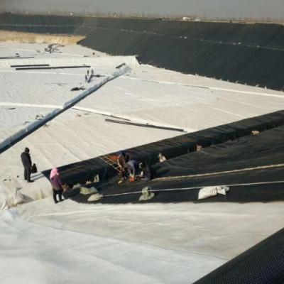 Cina Geotessuto non tessuto in poliestere agugliato da 200g 250g per drenaggio di muri di sostegno in vendita