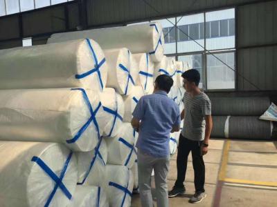 Cina Filamenti di PET di resistenza isotropica Geotessili non tessuti per il rinforzo multi-direzionale del suolo in vendita