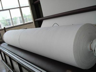 Cina Geotessili non tessuti a ago di fibre corte PET ad alta resistenza in vendita