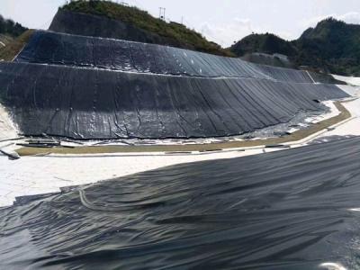 China vertido de la granja de pescados de la película ISO9001 del PVC Geomembrane de 1.5m m 2m m Plastik en venta