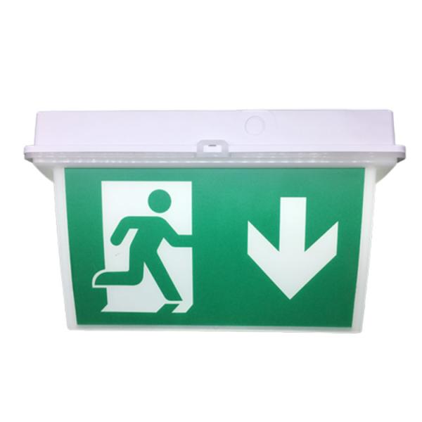 Quality Fire Safety IP65 PC Plastic Double Sides Automatic Emergency Light Box Running for sale