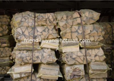 China Firewood Use PE Mesh Bag Rachel Mesh Bag Woven Sacks 50*95cm for sale
