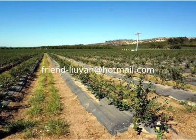China 100cm Woven Polypropylene Ground Cover For Land Protection UV Treated for sale