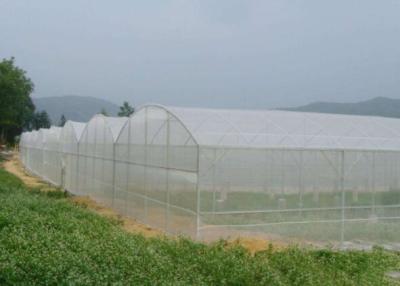 중국 자외선 저항성 식물성 모기 방지 망 온실 50g / M2 - 130g / M2 판매용