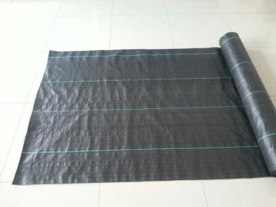 China Black Color Weed Control Fabric, Ground Cover, PP woven Fabric, 2m x 100m/roll for sale