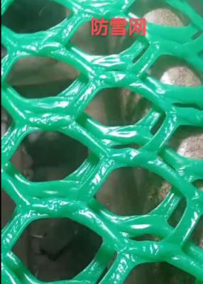 China Groen Plastic Mesh Net 200-400gm Anti Hagel Anti Mole Net Te koop