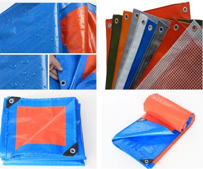 China PE Tarpaulin, Durable Plastic Canvas,Truck Cover Fabric, Sun shade Canvas,Pool fabric for sale