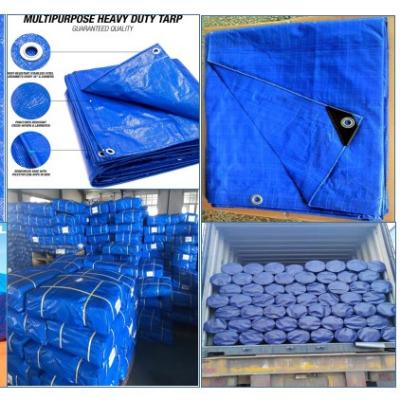 China Multi Purpose PE Tarpaulin Heavy Duty Plastic Tarpaulin Blue PE Tarp for sale