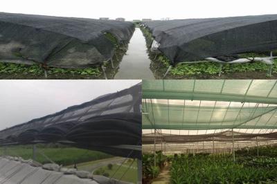 China 50% proporción de sombreado PE red de sombreado agricultura invernadero red de sombreado 4m en venta