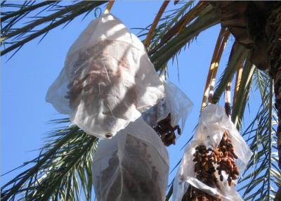 Chine Sacs de collecte de jujube de couleur blanche avec boucle à crochet pour l'Afrique Sacs en maille en HDPE anti-UV à vendre
