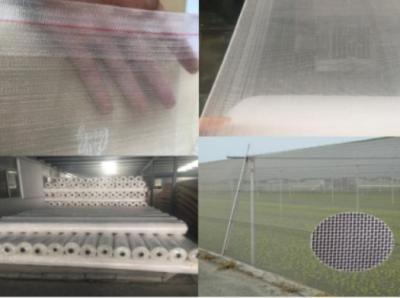China Red de protección contra mosquitos en blanco y negro, con malla de protección de cultivos con tratamiento UV en venta