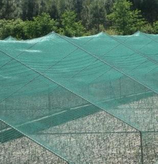 China Greenhouse Anti Insect Netting 1m-4m Green Abrasion Resistance for sale