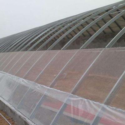 China Plant Agriculture Insect Net Anti Mosquito High Density Greenhouse Insect Net for sale
