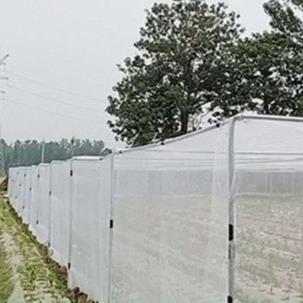 中国 50 メッシュ 高密度農業 虫網 50-90gm 野菜 虫対策網 販売のため