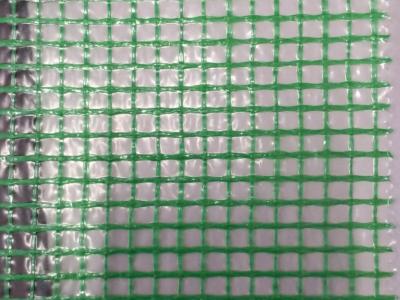 China Mesh Tarp Roll In PE Material For Vegetable And Flower House Transparent Grid Tarpaulin For Green House for sale