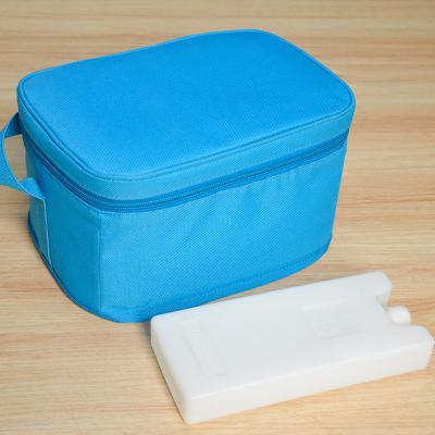 China 15L Insulated Freezer Lunch Bags Blue Thermal Bag For Frozen Food for sale