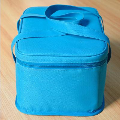 China Incubator Box Insulated Bags 28L Thermal Insulation Refrigerated Cold Chain Transport PVC Freezer Insulated Bags for sale