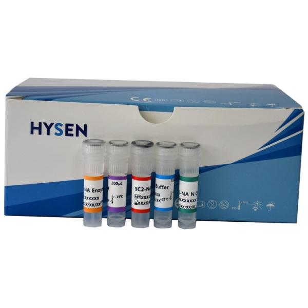 Quality Rapid Monkeypox Nucleic Acid Detection Kit for Real Time PCR Assay Shelf Life 2 for sale