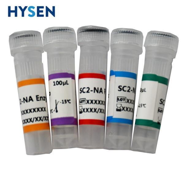 Quality Monkeypox Pcr Antigen Test Kit CE Certified and Fast for Real-time Molecular for sale
