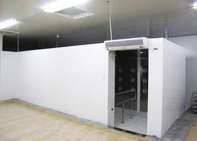 China Túnel do chuveiro de ar de 90 pessoais da volta do grau, equipamentos do quarto desinfetado com material de aço pintado à venda