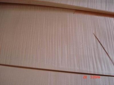 China Sliced Natural Figured Maple Wood Veneer Sheet for sale