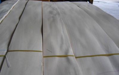 China Sliced Natural Burma White Birch Wood Veneer Sheet for sale