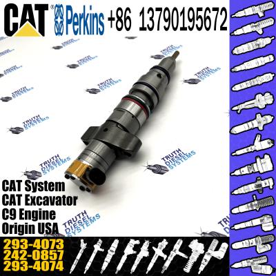 China Common Rail Diesel Fuel Injector 10R-7223 293-4073 For Caterpillar C9 Diesel Engin Common for sale