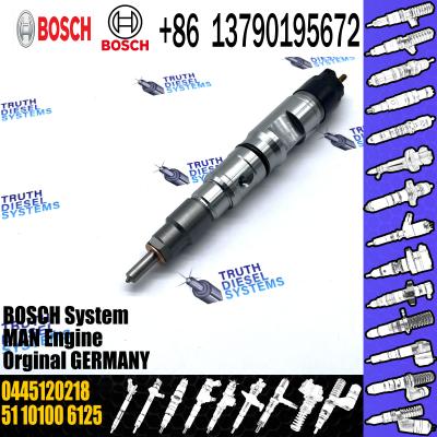China Diesel common rail injector 0445120218 0445 120 218 0 445 120 218 for European Trucks for sale