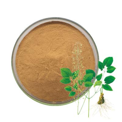 China Pure Natural Epimedium Herb Extract 5%-20% Lcariin Powder Epimedium Leaf Extract for sale