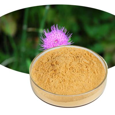 China Organic Food Grade Additives 80% Silymarin Milk Thistle Extract Powder for sale