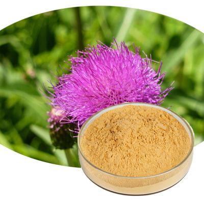 China Natural P.E. Milk Thistle Seed Extract Silymarin Powder 80% for sale