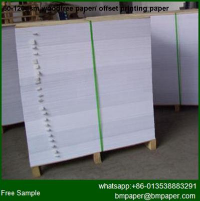 China Glossy / Matte Papaer /Art Paper in sheets or rolls for sale