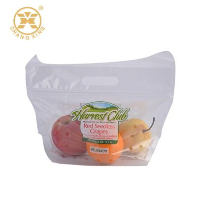China Los bolsos de empaquetado de la fruta seca plástica 3kg de EXPE PP se levantan la bolsa con los agujeros de respiradero de la cremallera en venta