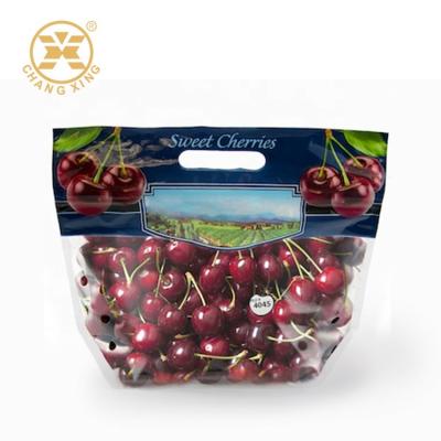 China 100g 500g Dry Fruit Packaging Bags With Hole Fresh Cherry Stand Up Pouches Eco Friendly for sale