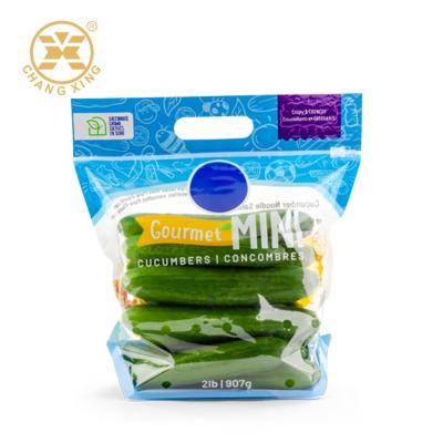 China Ziplockk Perforated Vegetable Packing Bags 1kg Resealable Stand Up Pouch for sale