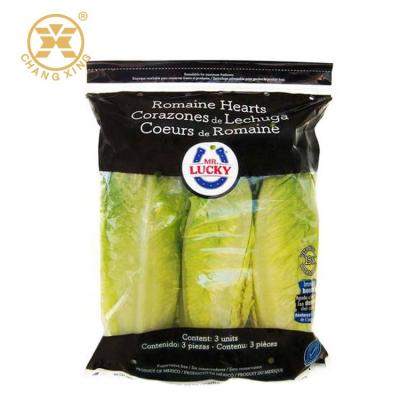 China 500g Perforated LDPE Vegetable Packing Bags Salad Poly Stand Up Pouches With Holes for sale