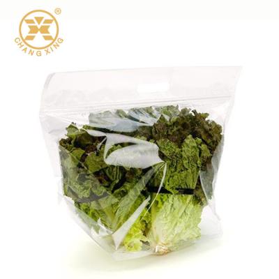 China CPP BOPP Bags For Vegetables Packaging Vegetables Stand Up Resealable Pouch Bags AntiFog for sale