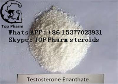 China RawTestosterone Enanthate  Test enanth/TE CAS 315-37-7 for builfing body for sale