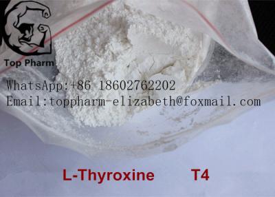 China CAS 51-48-9 L Thyroxine T4 Involved In Maintenance Of Metabolic Homeostas white powder 99%purity bodybuilding for sale