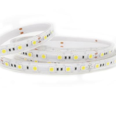 China Silicone Extrusion 5050 Cool White Led Strip 22LM Ip67 Waterproof Rgb Led for sale