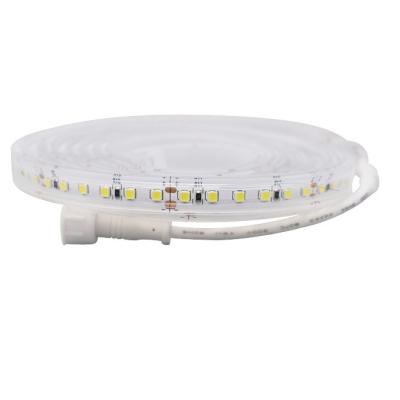 China 6000K 5M Rgb Led Strip 2835 12v Led Strip Lights Waterproof 600 LEDs for sale