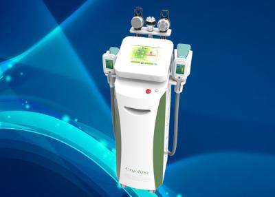 China Non-Invasive Fat Freeze Cryolipolysis Slimming Machine For Men / Women for sale