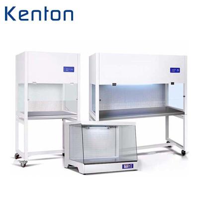 China Vertical Desk Top Air Clean Bench Laminar Air Flow Cabinet For Laboratory Medical for sale